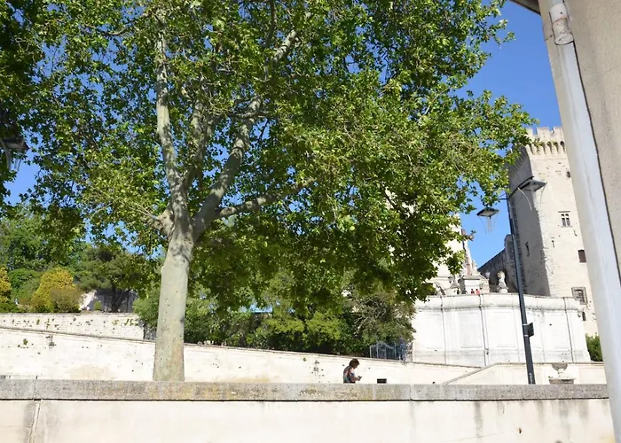 face au Palais des Papes