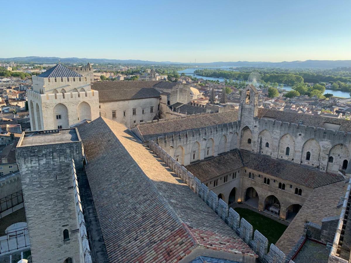 Face Au Palais Des Papes Avignon